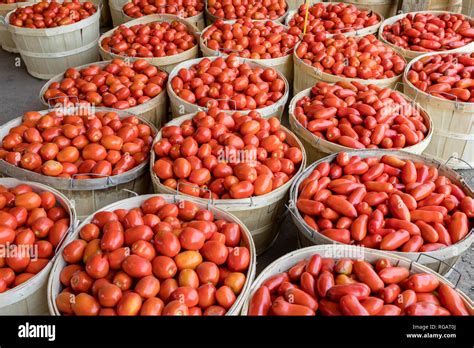 Tomatoes near me - How much does bulk tomatoes cost? Pricing depends on the variety and quantity. For example, 25 pounds of Beefsteak tomatoes is $15 while a bushel (approx. 25 pounds) of cherry or plum tomatoes is $20.